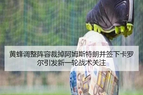 黄蜂调整阵容裁掉阿姆斯特朗并签下卡罗尔引发新一轮战术关注